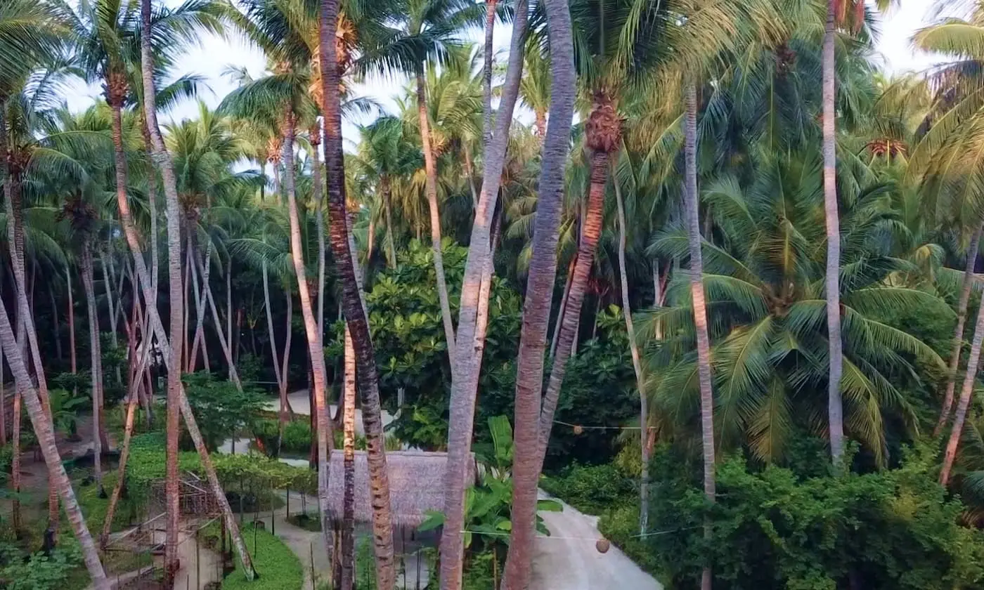 blog image
