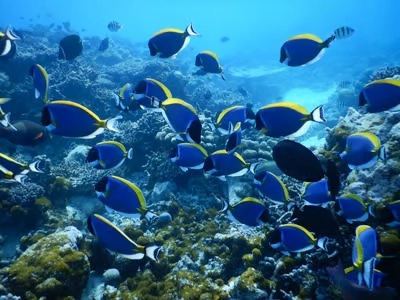 blog image