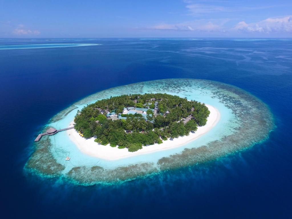 Dhawa Ihuru is a charming luxury island resort located in the beautiful North Malé Atoll, Maldives, offering an intimate and peaceful tropical escape surrounded by turquoise lagoons and vibrant coral reefs. Known for its natural beauty and warm hospitality, the resort is an ideal destination for travelers seeking relaxation, privacy, and unforgettable island experiences.
The resort features stylish beachfront villas with contemporary Maldivian-inspired design, private outdoor spaces, and direct access to the white sandy beach and crystal-clear waters. Guests can enjoy breathtaking sunsets, personalized services, and a serene atmosphere that perfectly reflects the beauty of the Maldives.
Dhawa Ihuru is especially famous for its exceptional house reef, making it one of the best snorkeling and diving destinations in the Maldives. The resort also offers a variety of water sports, wellness treatments, fine dining experiences, and romantic activities tailored for honeymooners, couples, and nature lovers. Combining comfort, elegance, and adventure, Dhawa Ihuru delivers a truly unforgettable island retreat.