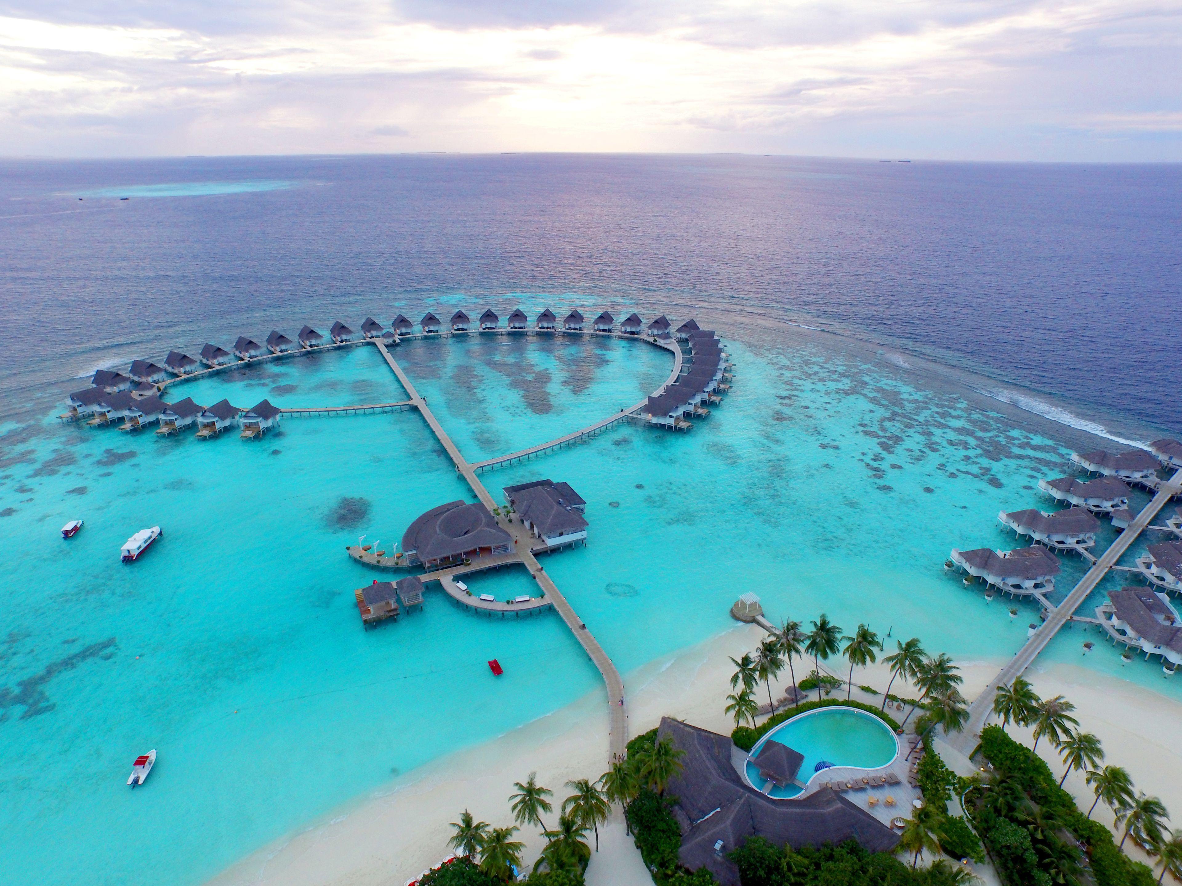 Machchafushi Island Resort & Spa Maldives, The Centara Collection, is a tropical paradise located in the heart of South Ari Atoll, one of the Maldives’ most renowned regions for marine life and diving experiences. Surrounded by crystal-clear lagoons, white sandy beaches, and vibrant coral reefs, the resort offers a perfect blend of natural beauty, comfort, and authentic island charm.

Known for its excellent house reef and proximity to year-round whale shark and manta ray sightings, the resort is a favorite among snorkelers, divers, honeymooners, and families. Guests can enjoy spacious beachfront and overwater accommodations, exceptional dining experiences, and a wide range of recreational activities in a relaxed and welcoming atmosphere.

Combining warm hospitality, stunning surroundings, and unforgettable underwater adventures, Machchafushi Island Resort & Spa delivers a truly immersive Maldivian escape.